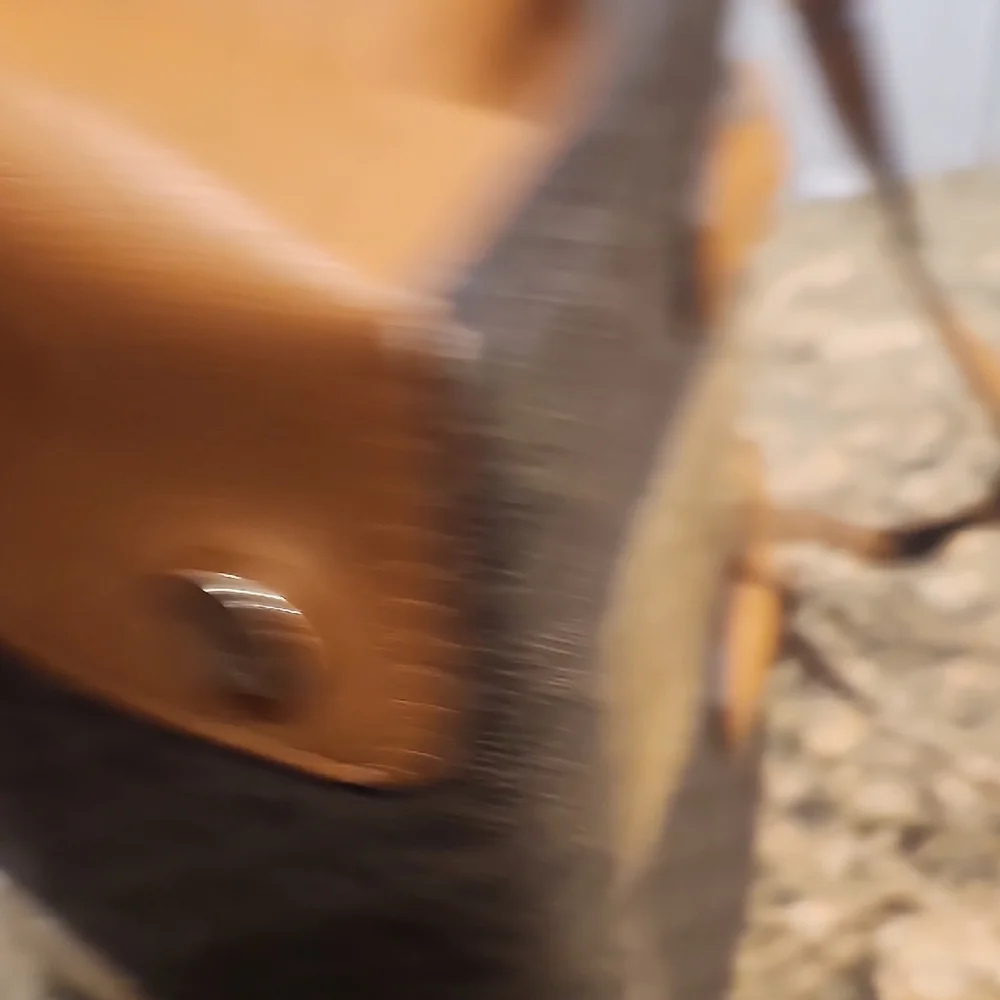 Michael Kors sophisticated michael